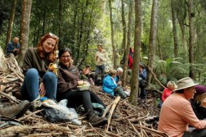 Forests Forever (EEG)